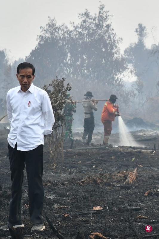 廖内省首府北干巴鲁是林火受灾最严重的地区之一,印度尼西亚总统佐科昨天到场视察被烧毁的林地时眉头深锁。印尼当局目前已逮捕近200名涉嫌引发林火者。(法新社) 廖内省首府北干巴鲁是林火受灾最严重的地区之一,印度尼西亚总统佐科昨天到场视察被烧毁的林地时眉头深锁。印尼当局目前已逮捕近200名涉嫌引发林火者。(法新社)