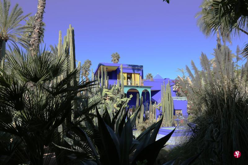 若雷勒花园里种了奇花异卉,单是仙人掌已有千种。 若雷勒花园里种了奇花异卉,单是仙人掌已有千种。