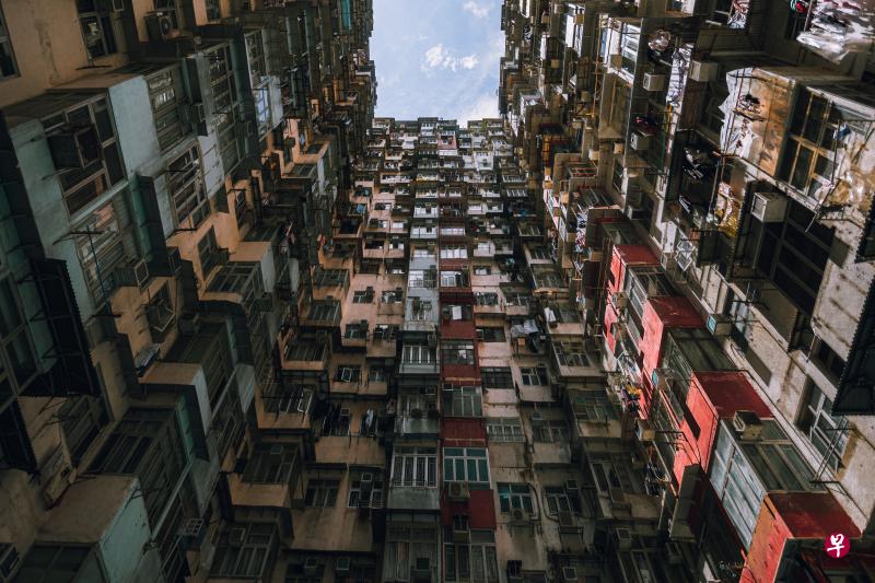 (网络照) (网络照)