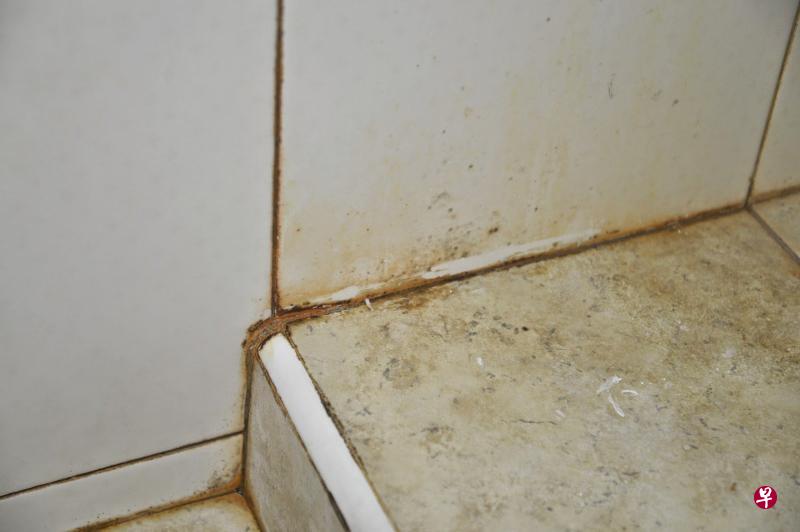 若浴室瓷砖长霉,可用蜡烛把瓷砖的缝隙涂一涂。(互联网) 若浴室瓷砖长霉,可用蜡烛把瓷砖的缝隙涂一涂。(互联网)