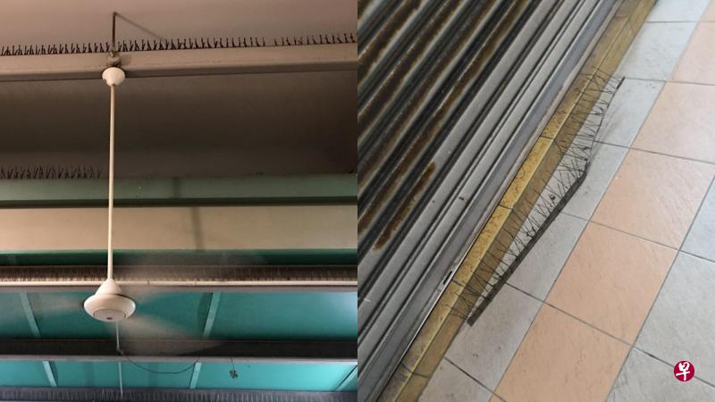 防鸟刺被吊扇打中弯曲,落在摊位前面。(读者提供) 防鸟刺被吊扇打中弯曲,落在摊位前面。(读者提供)