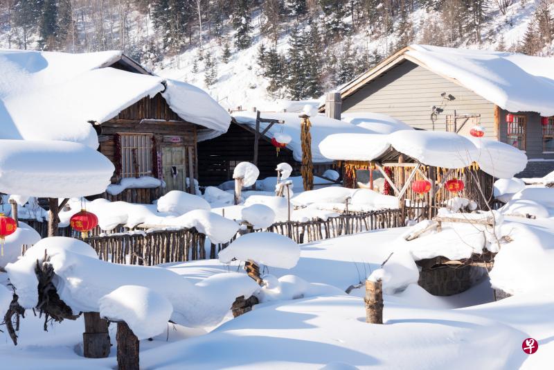 8天哈尔滨之旅,可欣赏中国雪乡的纯净雪景。(大通旅游提供) 8天哈尔滨之旅,可欣赏中国雪乡的纯净雪景。(大通旅游提供)