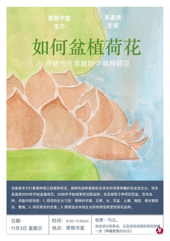 在家中也能盆植荷花。(主办方提供) 在家中也能盆植荷花。(主办方提供)