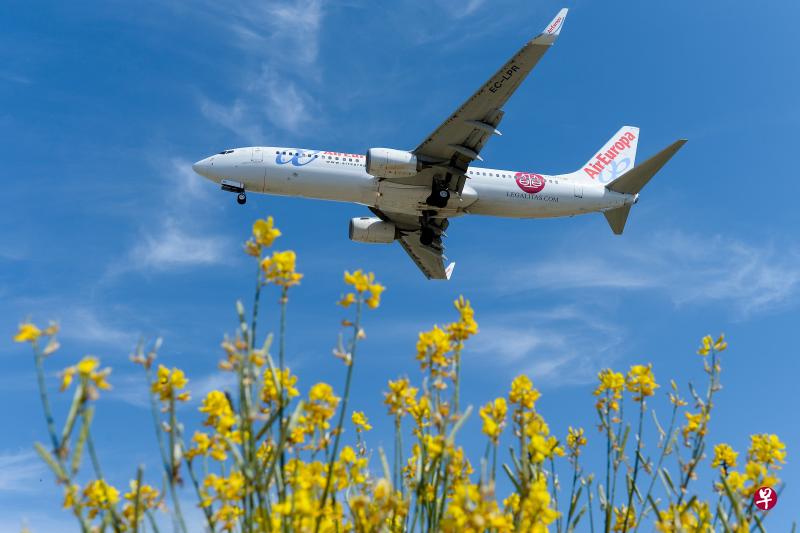 英国国际航空集团(IAG)将以11.1亿美元(15亿新元)收购竞争对手西班牙的欧罗巴航空公司(Air Europa)。(法新社) 英国国际航空集团(IAG)将以11.1亿美元(15亿新元)收购竞争对手西班牙的欧罗巴航空公司(Air Europa)。(法新社)