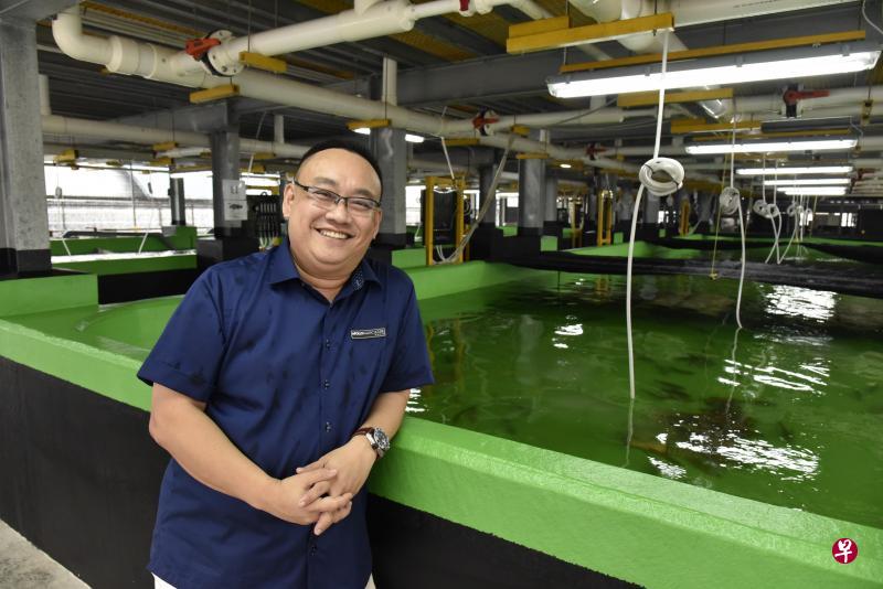 由总裁黄伟杰带领的阿波罗水产养殖集团,堪称区域,乃至全世界,首个开发现代自动化垂直海产养殖场的企业。(特约伍书永摄) 由总裁黄伟杰带领的阿波罗水产养殖集团,堪称区域,乃至全世界,首个开发现代自动化垂直海产养殖场的企业。(特约伍书永摄)