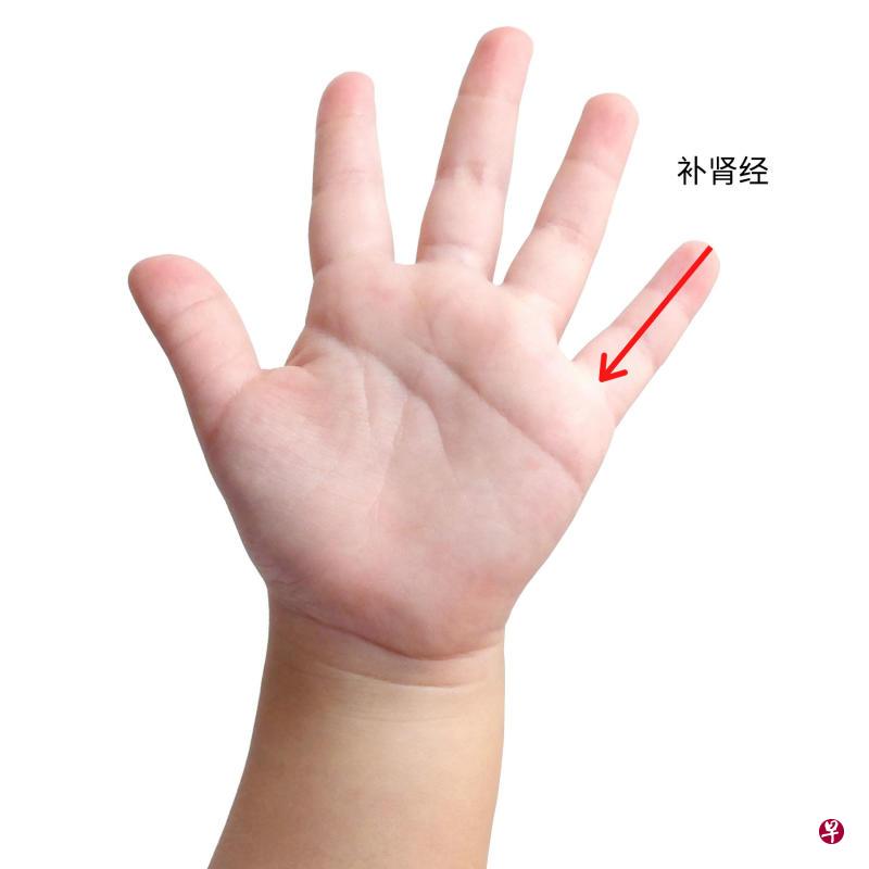 补肾经:用拇指指面从患儿小指指尖,推向指根,推500次。 补肾经:用拇指指面从患儿小指指尖,推向指根,推500次。