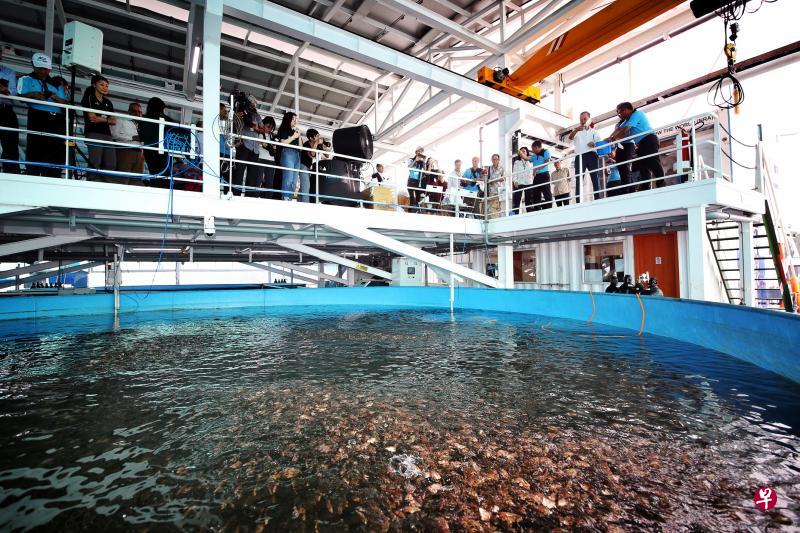 环保方舟长48公尺、宽28公尺,面积约为三个篮球场般大。(谢智扬摄) 环保方舟长48公尺、宽28公尺,面积约为三个篮球场般大。(谢智扬摄)