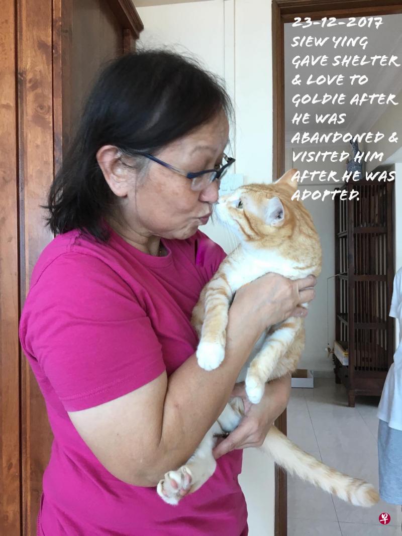 黎秀燕今年4月被诊断患上胃癌第四期,她在化疗期间仍然亲自喂流浪猫和流浪狗。(取自面簿) 黎秀燕今年4月被诊断患上胃癌第四期,她在化疗期间仍然亲自喂流浪猫和流浪狗。(取自面簿)