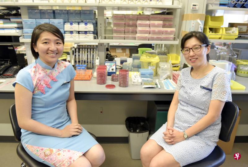 新加坡中央医院抗生素管理计划组长兼传染病学顾问医生庄诗敏(左)与药剂部临床研究助理处长柯丽云副教授(右)的研究发现,医生无需等细菌培植测试结果出炉,就可在24小时内确诊患者是否受到细菌感染,并提早停用抗生素。(特约林新泰摄) 新加坡中央医院抗生素管理计划组长兼传染病学顾问医生庄诗敏(左)与药剂部临床研究助理处长柯丽云副教授(右)的研究发现,医生无需等细菌培植测试结果出炉,就可在24小时内确诊患者是否受到细菌感染,并提早停用抗生素。(特约林新泰摄)