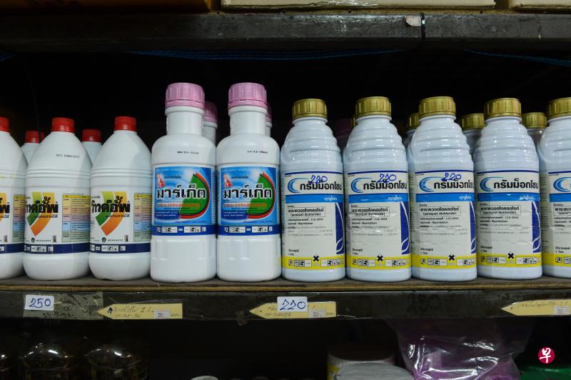 在曼谷一个园圃架上,仍可见到草甘膦(左)和百草枯(右)。(法新社) 在曼谷一个园圃架上,仍可见到草甘膦(左)和百草枯(右)。(法新社)