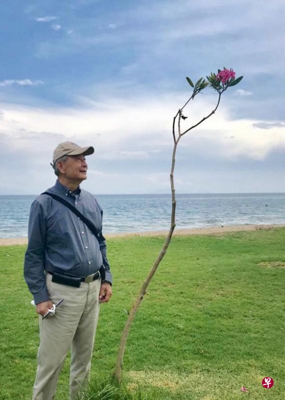 南洋理工大学终身荣誉教授陈长宁，前天与世长辞，享年80岁。图为陈长宁教授去年未诊断患癌前，游览希腊雅典时所摄。（陈长宁家属提供）