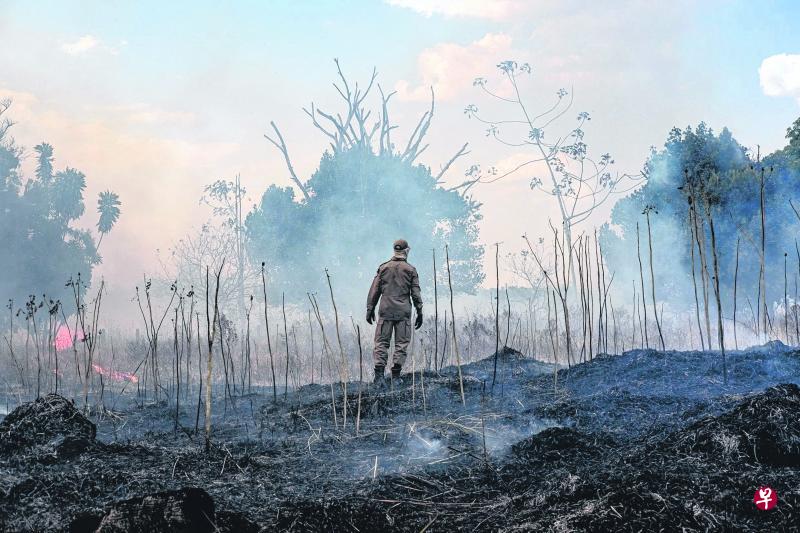 有“地球之肺”之称的亚马逊雨林大火,引起各国关切,七国集团成员国领袖和英美等国都承诺投入数千万元助扑灭及修复雨林。(法新社) 有“地球之肺”之称的亚马逊雨林大火,引起各国关切,七国集团成员国领袖和英美等国都承诺投入数千万元助扑灭及修复雨林。(法新社)