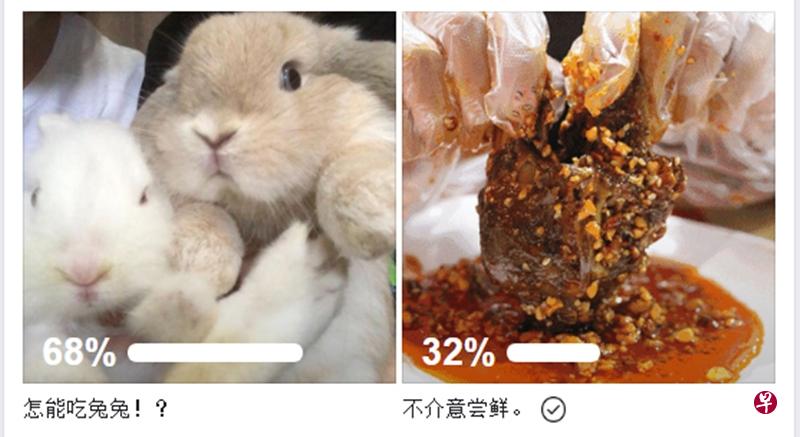 （左图）克拉码头一带的餐馆，上周开始售卖兔肉菜肴，包括兔子锅和红油兔丁。（右图）网路媒体“红蚂蚁”昨晚就网民愿不愿意尝试兔肉做了调查，只有32%表示愿意。（取自面簿）