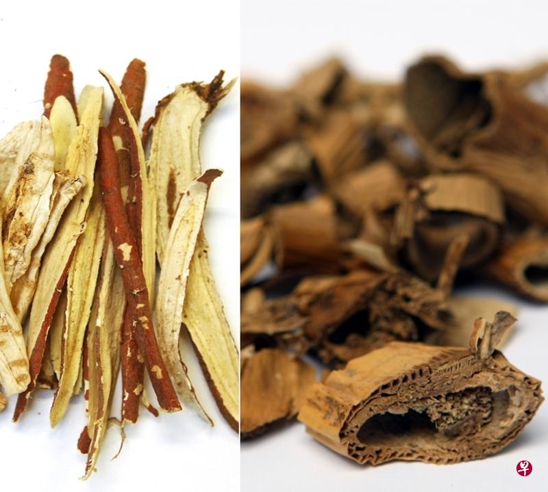 桔梗和甘草(左)与芦根。(档案照) 桔梗和甘草(左)与芦根。(档案照)