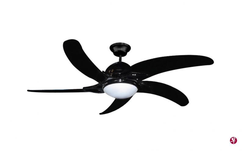 17种型号的Elmark牌吊扇可能存在触电、坠落、划伤以及火灾等安全隐患。(互联网) 17种型号的Elmark牌吊扇可能存在触电、坠落、划伤以及火灾等安全隐患。(互联网)