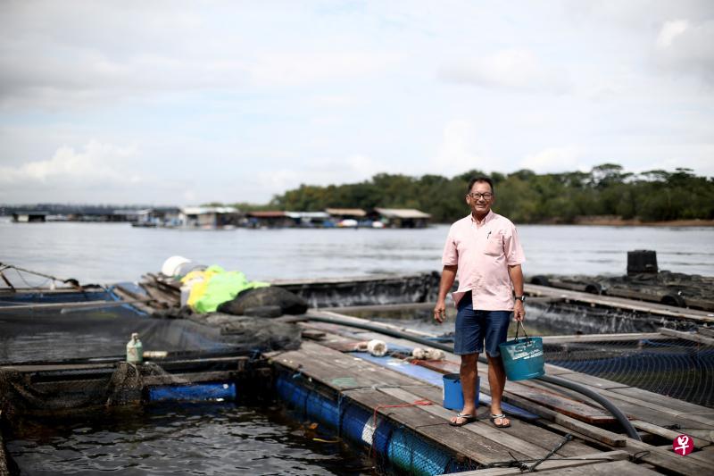 张富兴指出,持续下豪雨的天气,会降低海水盐份浓度,影响老虎斑等鱼类生存。时至今日,他仍坚持人工养殖方式,每日亲自给鱼喂食。(陈渊庄摄) 张富兴指出,持续下豪雨的天气,会降低海水盐份浓度,影响老虎斑等鱼类生存。时至今日,他仍坚持人工养殖方式,每日亲自给鱼喂食。(陈渊庄摄)
