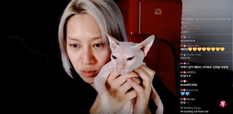 金希澈抱着猫咪向粉丝报平安。(YouTube视频截图) 金希澈抱着猫咪向粉丝报平安。(YouTube视频截图)