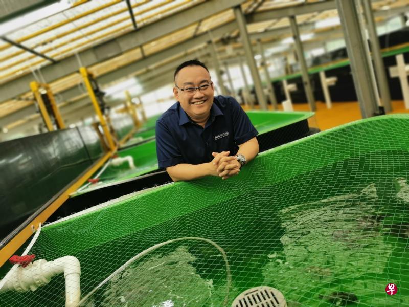 阿波罗集团第二代掌舵人黄伟杰展示全球首个现代自动化垂直海产养殖场。 阿波罗集团第二代掌舵人黄伟杰展示全球首个现代自动化垂直海产养殖场。