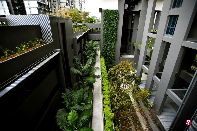 除了花园之外,杜生阁每一个角落,包括组屋外墙和停车场。都栽种了绿色植物。(海峡时报) 除了花园之外,杜生阁每一个角落,包括组屋外墙和停车场。都栽种了绿色植物。(海峡时报)