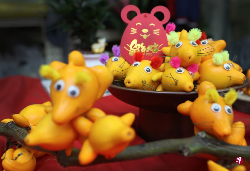 业者甜甜花卉以外表金黄的五指果做金鼠造型摆设,吸引顾客眼球。(何炳耀摄) 业者甜甜花卉以外表金黄的五指果做金鼠造型摆设,吸引顾客眼球。(何炳耀摄)