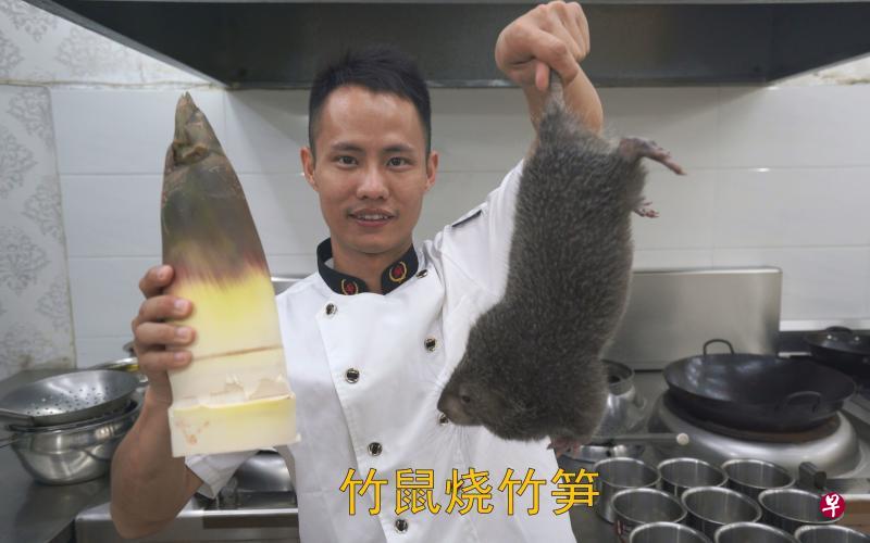 四川厨师王刚在网上教人烹饪竹鼠的视频截图。（互联网）