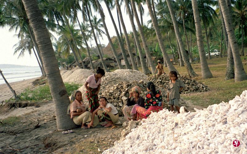 印尼龙目岛上的萨萨克女子早婚现象极其普遍。(新加坡每日新闻) 印尼龙目岛上的萨萨克女子早婚现象极其普遍。(新加坡每日新闻)