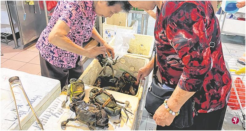在牛车水大厦巴刹卖螃蟹30多年的群姐(左)说,来自印度尼西亚的螃蟹,去年新年每公斤卖40元,今年下调至35元,但生意不涨反跌。 在牛车水大厦巴刹卖螃蟹30多年的群姐(左)说,来自印度尼西亚的螃蟹,去年新年每公斤卖40元,今年下调至35元,但生意不涨反跌。