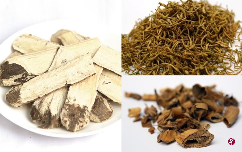 左图为黄芪,右上和右下图分别为金银花及芦根。(档案照) 左图为黄芪,右上和右下图分别为金银花及芦根。(档案照)