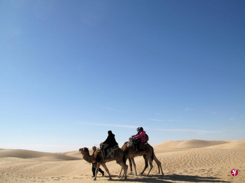 天苍苍、沙茫茫,茫茫大漠任我行。 天苍苍、沙茫茫,茫茫大漠任我行。