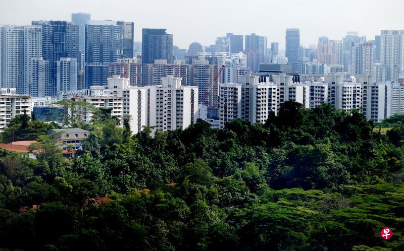 新加坡这个“花园里的城市”将大量植树和扩展绿色空间,进一步提升为“大自然里的城市”。图为亨德森一带的住屋与南部山脊。(档案照片) 新加坡这个“花园里的城市”将大量植树和扩展绿色空间,进一步提升为“大自然里的城市”。图为亨德森一带的住屋与南部山脊。(档案照片)