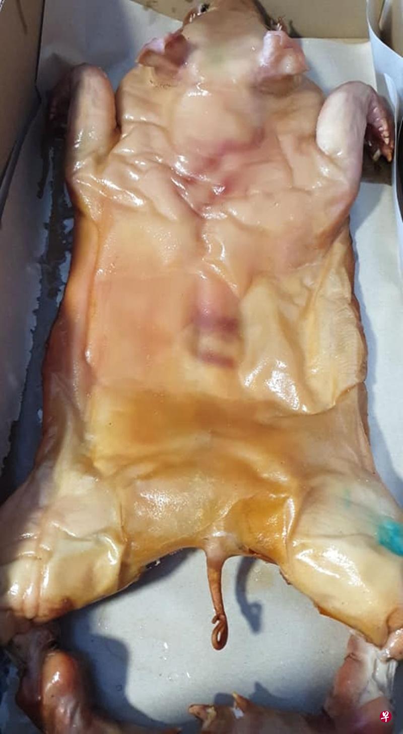 买回家的烤乳猪颜色太苍白,女子因此怀疑乳猪没烤熟。(互联网) 买回家的烤乳猪颜色太苍白,女子因此怀疑乳猪没烤熟。(互联网)