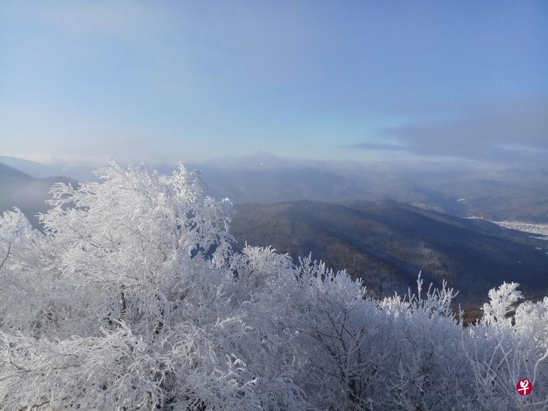 亚布力山顶银装素裹,处处是耀眼的雾凇树挂。 亚布力山顶银装素裹,处处是耀眼的雾凇树挂。