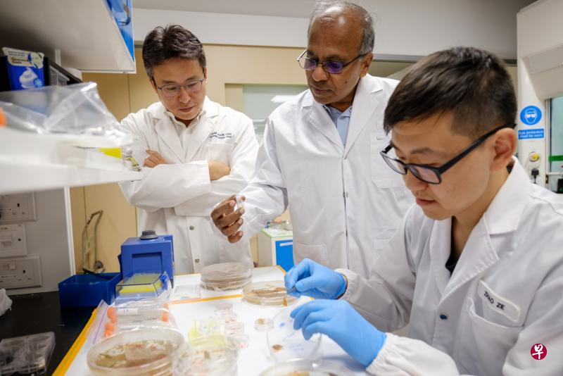 南大材料科学与工程学院赵南俊教授(左)、南大校长苏布拉·苏雷什教授(中)与研究员正在检查花粉颗粒形成的纸状材料。(南洋理工大学提供) 南大材料科学与工程学院赵南俊教授(左)、南大校长苏布拉·苏雷什教授(中)与研究员正在检查花粉颗粒形成的纸状材料。(南洋理工大学提供)
