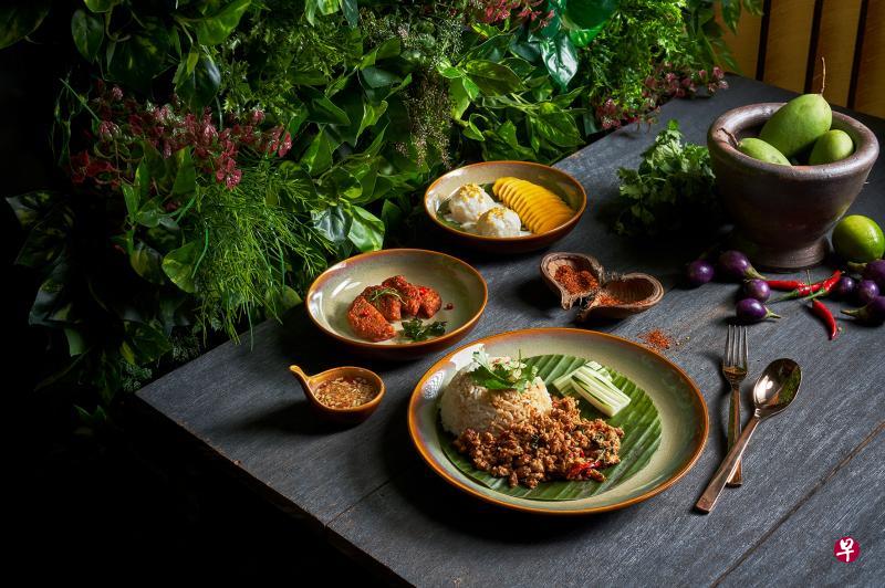 Chalerm Thai的优惠午餐套餐包含九层塔炒鸡配白饭、自制泰式鱼饼和芒果糯米饭。(餐馆提供) Chalerm Thai的优惠午餐套餐包含九层塔炒鸡配白饭、自制泰式鱼饼和芒果糯米饭。(餐馆提供)