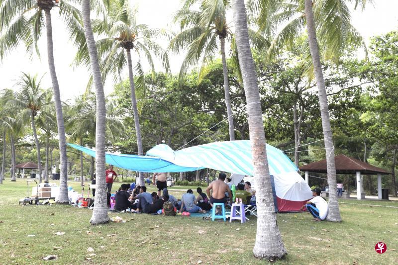 东海岸公园上周末有不少人群聚集,公园局将暂停发出烧烤和露营等活动的准证,直到4月30日。(陈来福摄) 东海岸公园上周末有不少人群聚集,公园局将暂停发出烧烤和露营等活动的准证,直到4月30日。(陈来福摄)