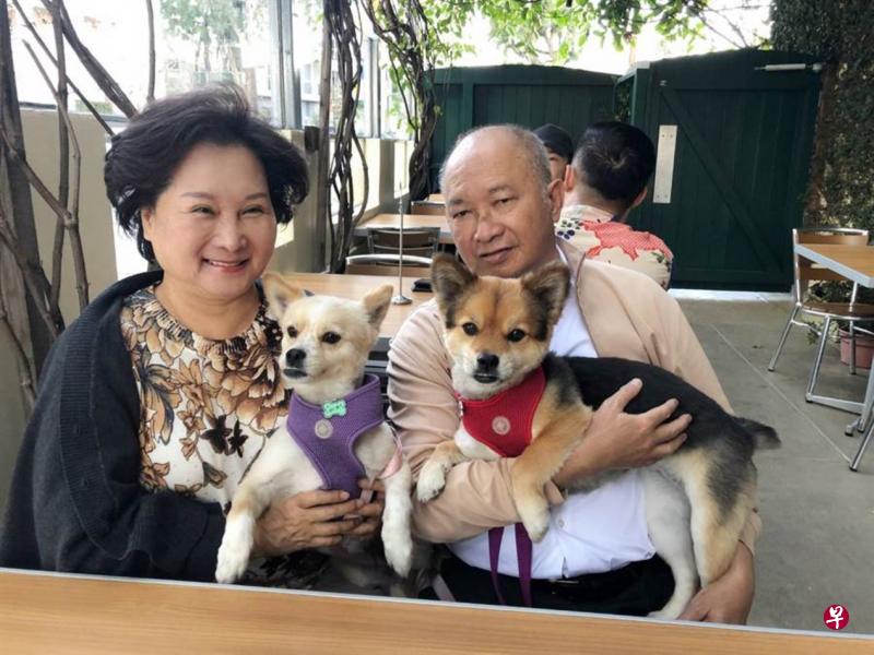 开刀前,吴宇森夫妇将两只爱犬送到宠物旅馆。(互联网) 开刀前,吴宇森夫妇将两只爱犬送到宠物旅馆。(互联网)