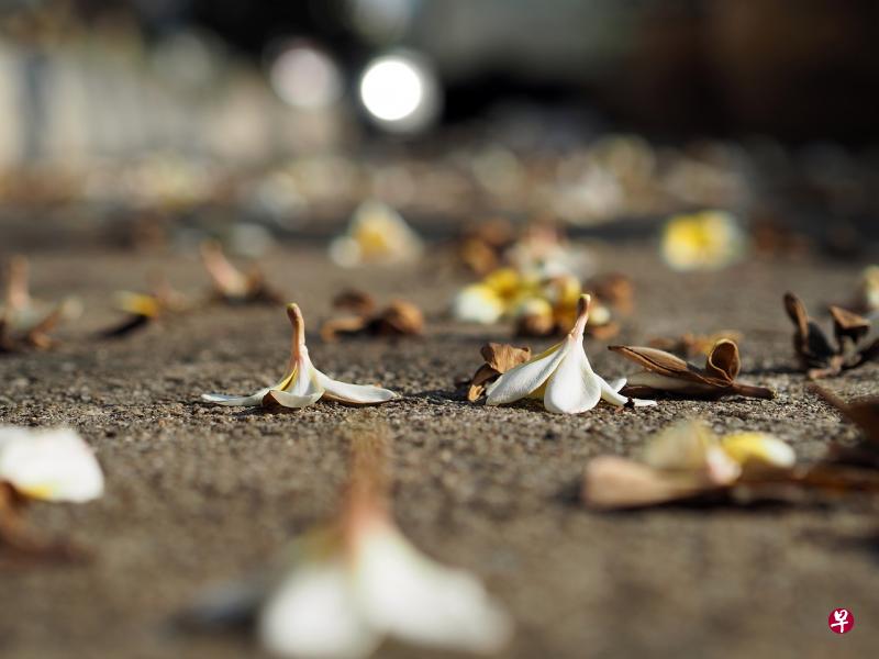 (图/pixabay) (图/pixabay)