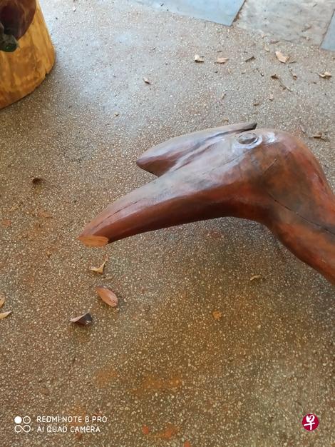 一座约2.3米高的犀鸟雕塑被推倒,鸟喙折断。(读者提供) 一座约2.3米高的犀鸟雕塑被推倒,鸟喙折断。(读者提供)