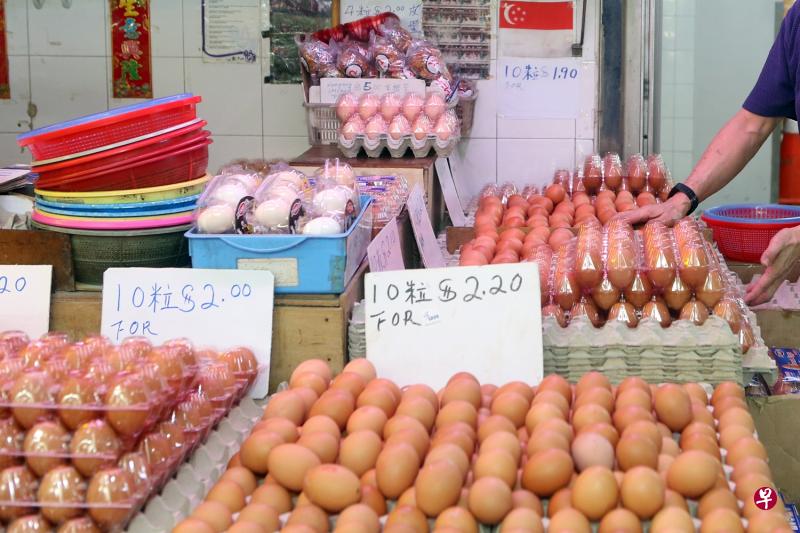 本地鸡蛋目前每个起价两分半,但供应商估计接下来价格会逐渐回落。(档案照) 本地鸡蛋目前每个起价两分半,但供应商估计接下来价格会逐渐回落。(档案照)