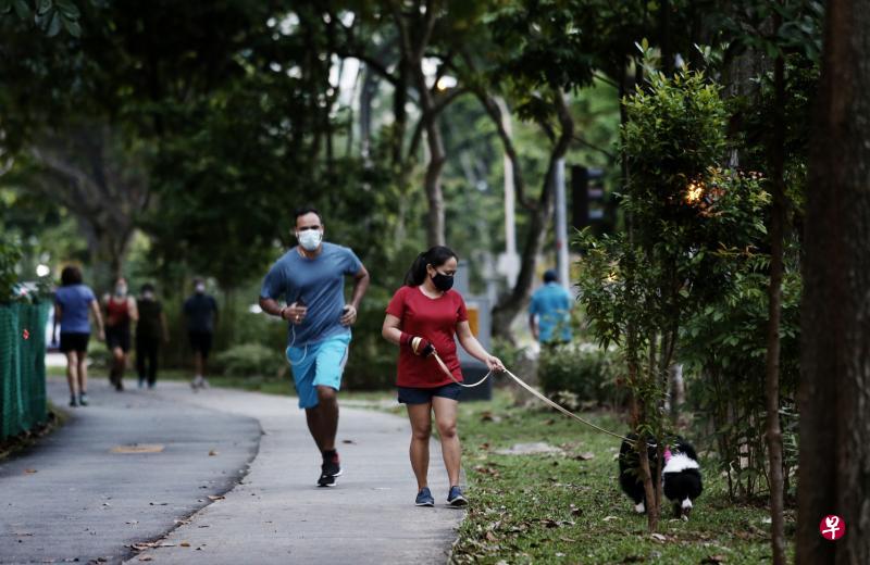 在实施病毒阻断措施期间,私人公寓住户虽无法继续在公寓内的运动或休闲空间内遛狗,但他们还是可以带着狗儿到公园等公共空间遛狗,同时还能运动。(陈渊庄摄) 在实施病毒阻断措施期间,私人公寓住户虽无法继续在公寓内的运动或休闲空间内遛狗,但他们还是可以带着狗儿到公园等公共空间遛狗,同时还能运动。(陈渊庄摄)