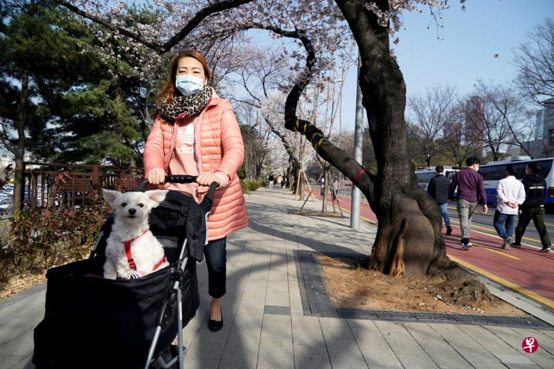 韩国民调显示，79.7%的受访者虽疲于严守社交距离，但93%表示自己仍严格遵守这项防疫措施。（路透社） 