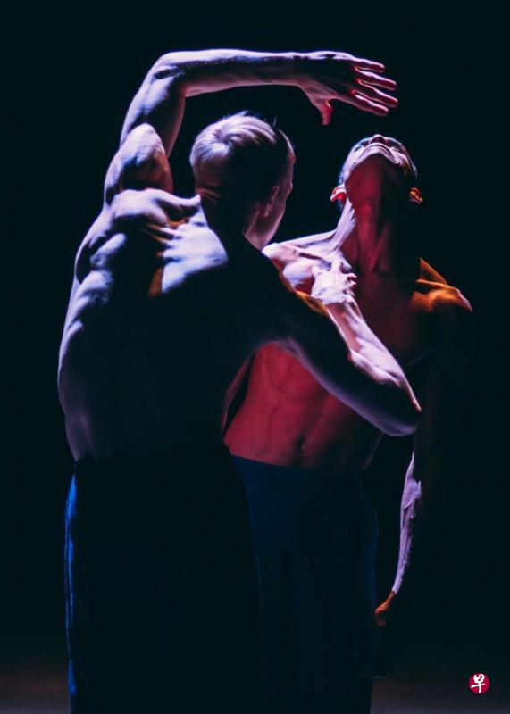 荷兰舞蹈剧场数码平台NDTV免费展播完整版舞蹈作品。(取自舞团官网) 荷兰舞蹈剧场数码平台NDTV免费展播完整版舞蹈作品。(取自舞团官网)