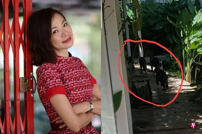 刘琦在碧山公园的Aramsa Spa有三个池塘,池塘里的鱼儿几乎被水獭吃光,让她好心痛。(取自刘琦面簿) 刘琦在碧山公园的Aramsa Spa有三个池塘,池塘里的鱼儿几乎被水獭吃光,让她好心痛。(取自刘琦面簿)