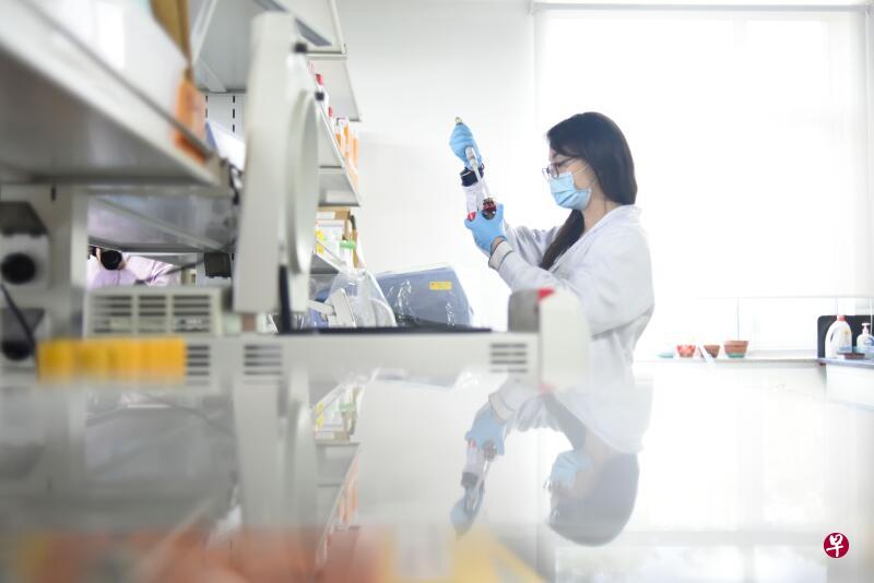 中国北京大学实验室正研发一款治疗冠病的新药物,通过从康复者血浆筛选中和抗体制成强效药。(法新社档案照) 中国北京大学实验室正研发一款治疗冠病的新药物,通过从康复者血浆筛选中和抗体制成强效药。(法新社档案照)