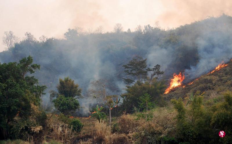 (海峡时报档案照片) (海峡时报档案照片)