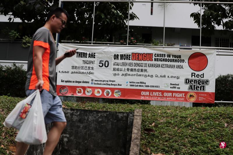 随着我国步入骨痛热症高峰期,炎热天气减短伊蚊的生长期,骨痛热症在本地的传播率更高,确诊病例数量居高不下。(档案照片) 随着我国步入骨痛热症高峰期,炎热天气减短伊蚊的生长期,骨痛热症在本地的传播率更高,确诊病例数量居高不下。(档案照片)