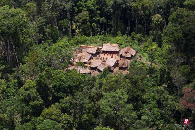 研究指出,如果不采取紧急措施驱逐采矿者,改善原民社区的医疗状况,亚诺马米族群可能面临种族灭绝风险。(路透社) 研究指出,如果不采取紧急措施驱逐采矿者,改善原民社区的医疗状况,亚诺马米族群可能面临种族灭绝风险。(路透社)