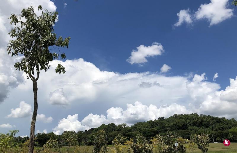 (作者提供) (作者提供)