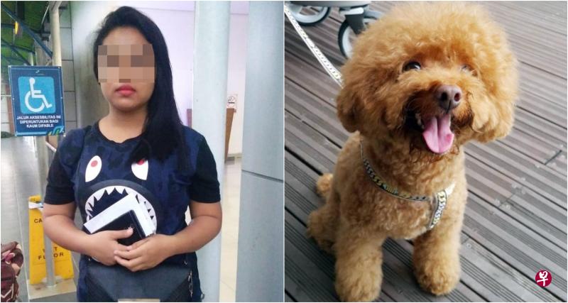 被指将贵宾犬丢下楼的女佣吉雅蒂。(受访者提供) 被指将贵宾犬丢下楼的女佣吉雅蒂。(受访者提供)