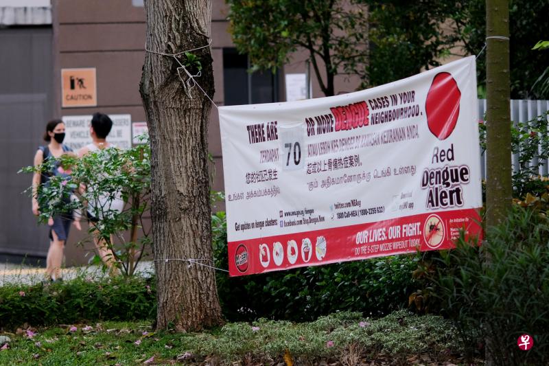 我国单周骨痛热症新增病例在五天半之内已达895起, 打破2014年的记录,成为有史以来最多人感染的一周。(陈渊庄摄) 我国单周骨痛热症新增病例在五天半之内已达895起, 打破2014年的记录,成为有史以来最多人感染的一周。(陈渊庄摄)